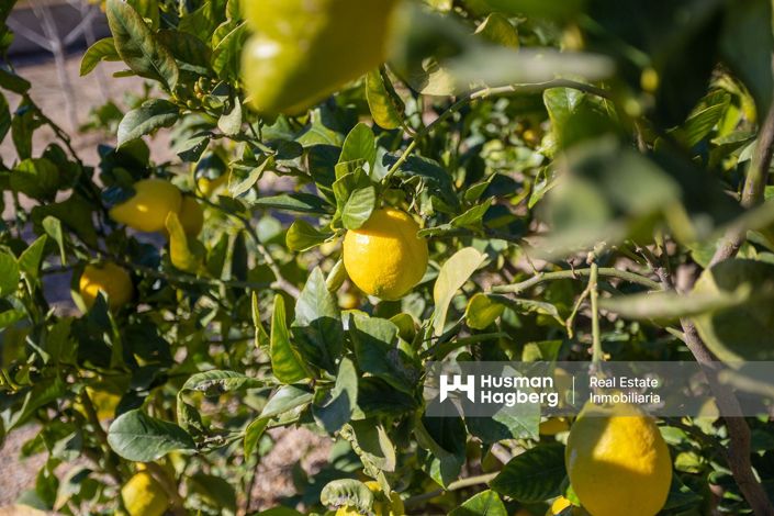 Image No.3-Villa de 4 chambres à vendre à Corvera