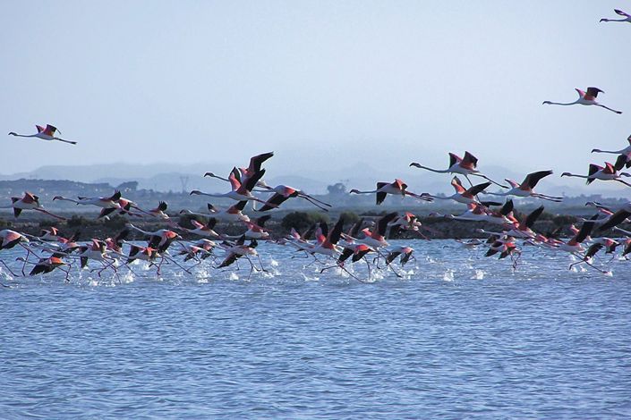 Image No.49-3 Bed Apartment for sale