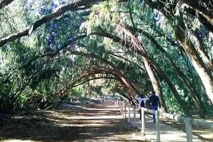 Image No.8-Appartement de 3 chambres à vendre à Alicante