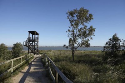 med070fd30615004d92b99f183bfe3b069b-2820x1880