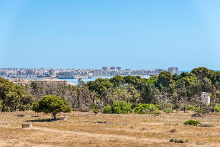 Image No.6-Appartement de 2 chambres à vendre à Punta Prima