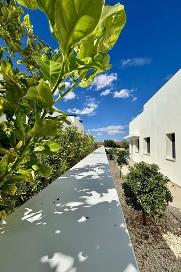 Image No.5-3 Bed Villa for sale