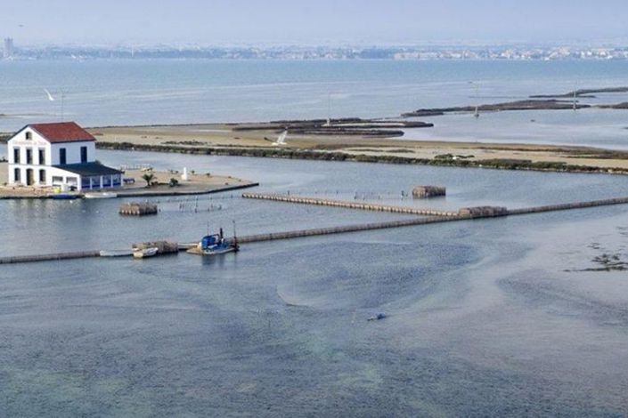 Image No.8-Appartement de 3 chambres à vendre à San Pedro del Pinatar