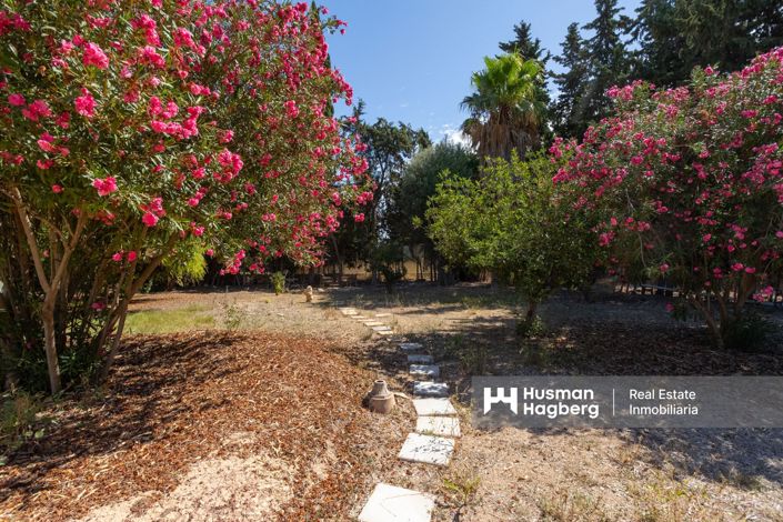 Image No.31-Villa de 4 chambres à vendre à Los Alcázares