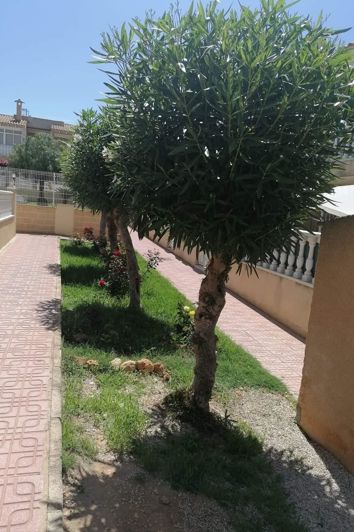 Image No.3-Appartement de 2 chambres à vendre à Torrevieja