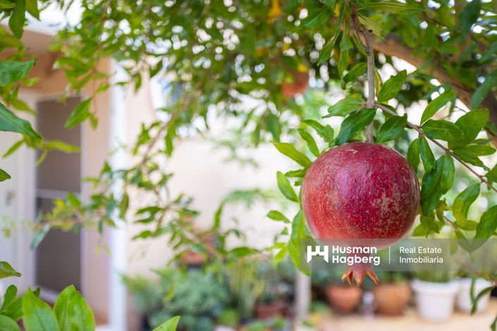 Image No.45-Villa de 3 chambres à vendre à La Zenia