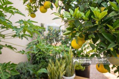 med5ndcp7t358cfq9387v-2820x1880