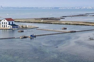 medffaaa3ea6e244504a4bdc12220085544-2820x1880