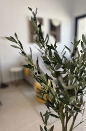 medf12fd2528c4643079b9850d302e21946-1880x2820