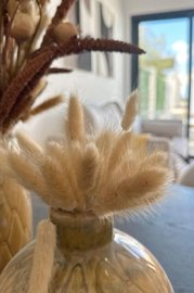 med925bf0f6fab84d09bb7be88b9d42bfc9-1880x2820