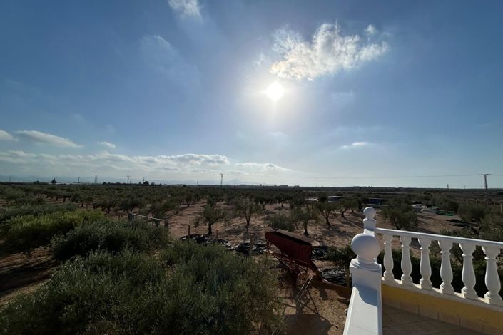 Image No.33-Villa de 3 chambres à vendre à Fuente Álamo