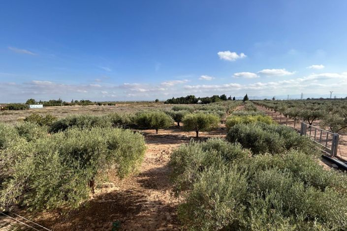 Image No.35-Villa de 3 chambres à vendre à Fuente Álamo