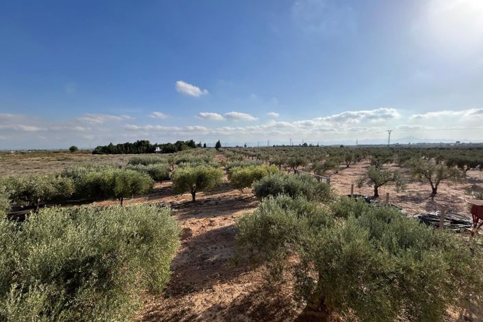 Image No.37-Villa de 3 chambres à vendre à Fuente Álamo