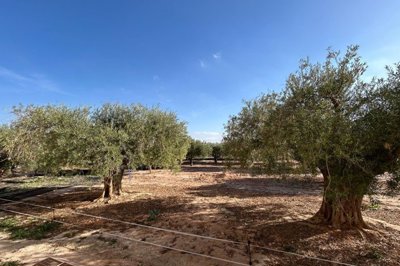 med5nh6prx358cj4xps4w-2820x1880