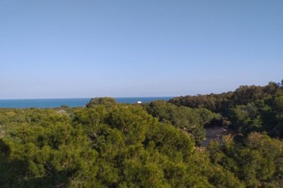 med5nkczdt358cl66zr88-2820x1880