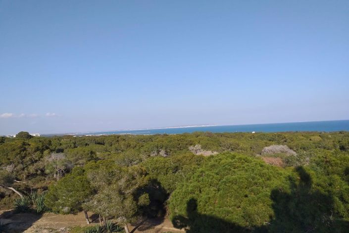 Image No.12-Appartement de 4 chambres à vendre à Guardamar del Segura