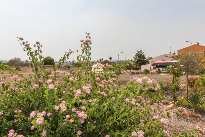 Image No.35-Appartement de 3 chambres à vendre à Torrevieja