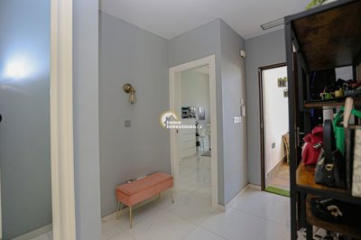 589076xl