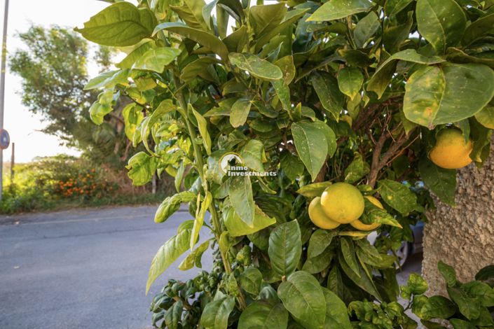 Image No.34-1 Bed Bungalow for sale