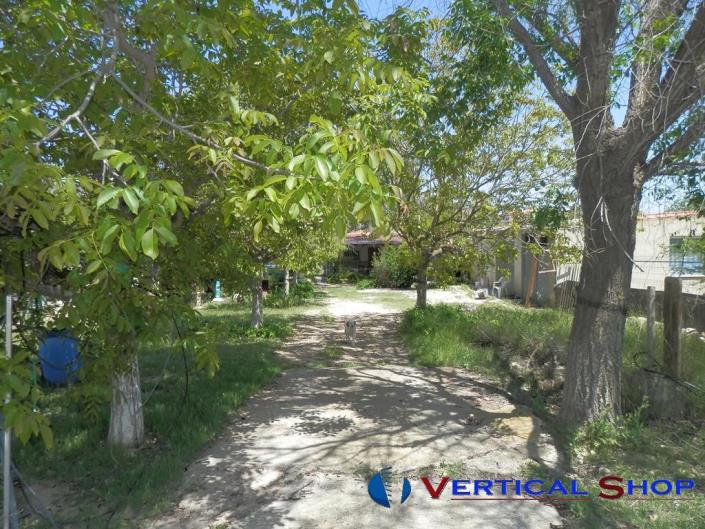 Image No.21-3 Bed Country House for sale