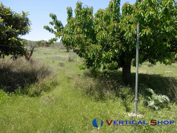 Image No.26-3 Bed Country House for sale