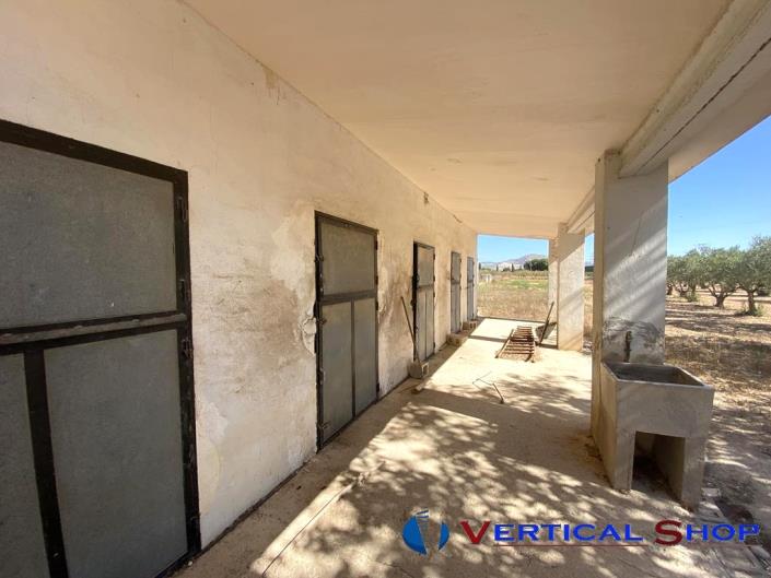 Image No.20-Propriété de pays de 6 chambres à vendre à Caudete