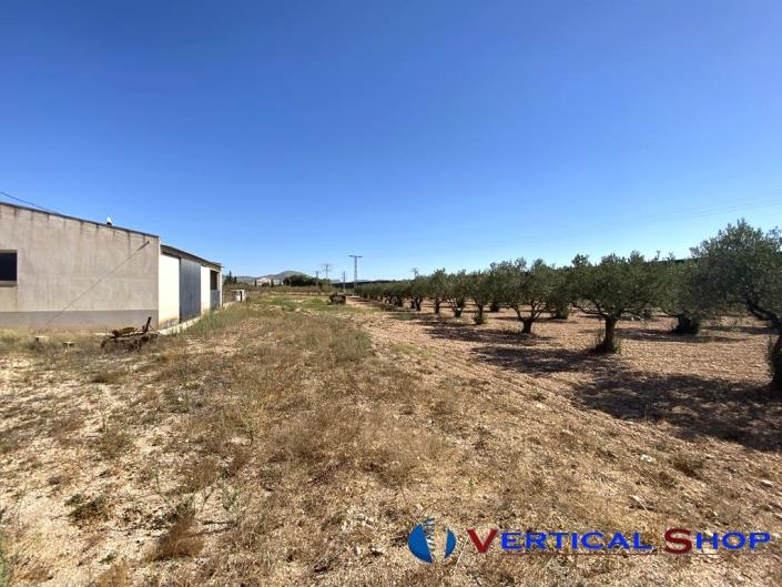 Image No.25-Propriété de pays de 6 chambres à vendre à Caudete