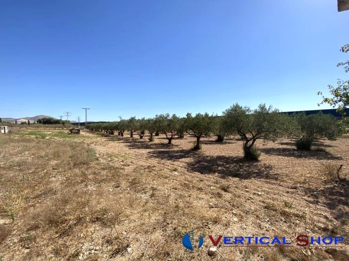 Image No.27-Propriété de pays de 6 chambres à vendre à Caudete