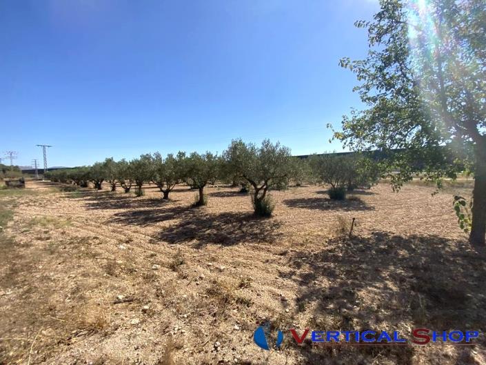 Image No.28-Propriété de pays de 6 chambres à vendre à Caudete