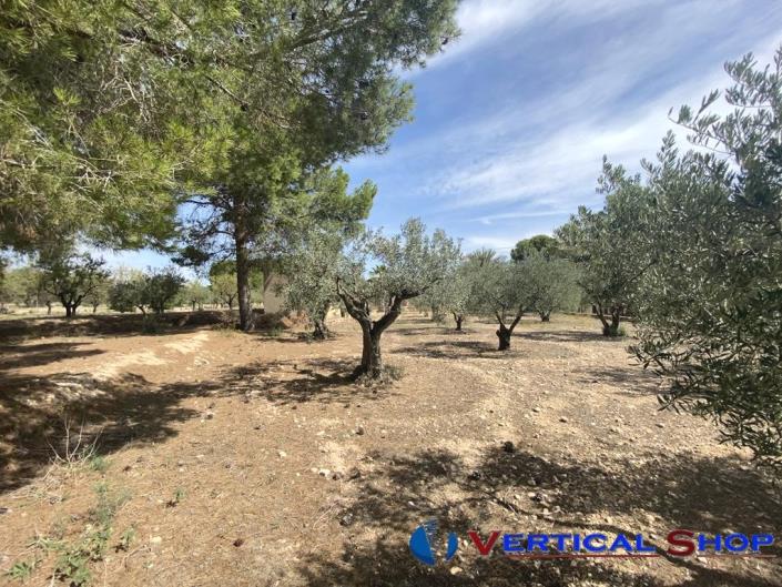 Image No.21-2 Bed Country Property for sale