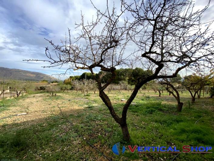 Image No.34-Propriété de pays de 3 chambres à vendre à Caudete