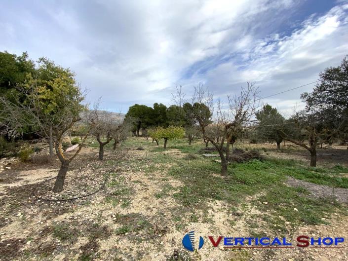 Image No.36-Propriété de pays de 3 chambres à vendre à Caudete