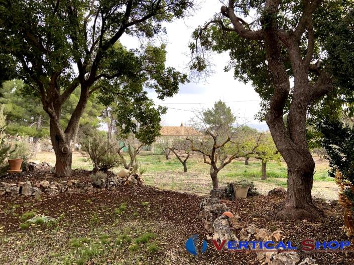 Image No.35-Propriété de pays de 3 chambres à vendre à Caudete