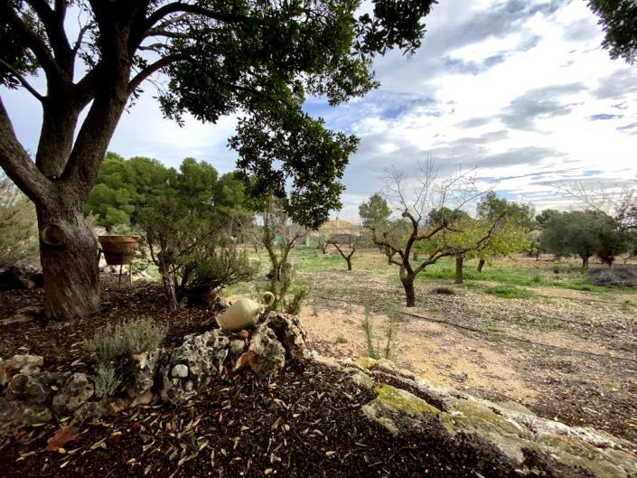 Image No.31-Propriété de pays de 3 chambres à vendre à Caudete