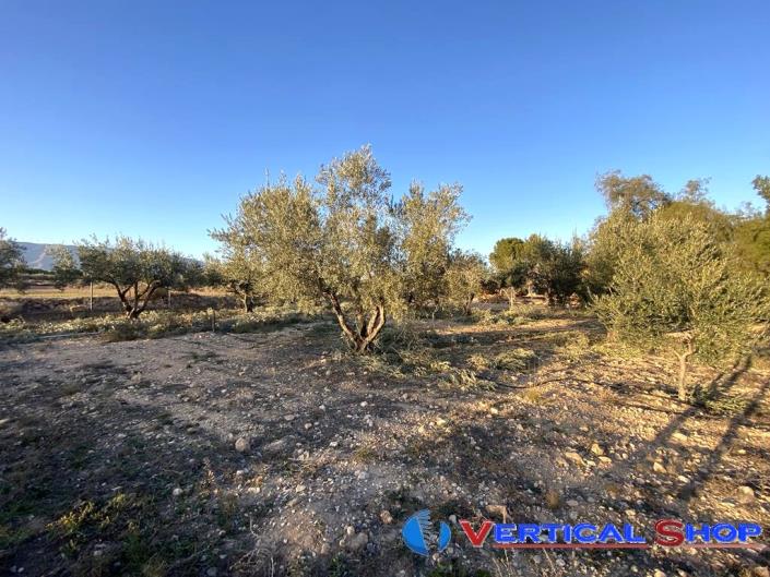 Image No.12-3 Bed Country Property for sale