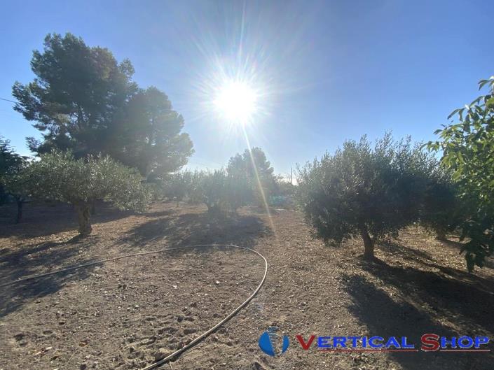 Image No.29-Chalet de 4 chambres à vendre à Caudete