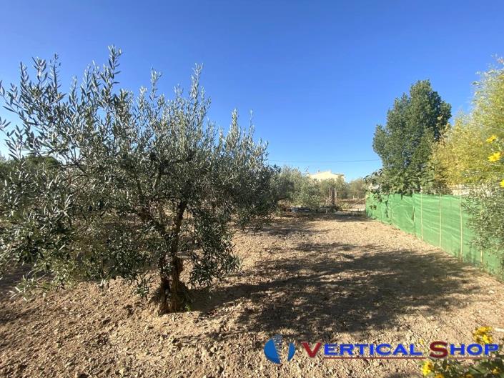 Image No.30-Chalet de 4 chambres à vendre à Caudete