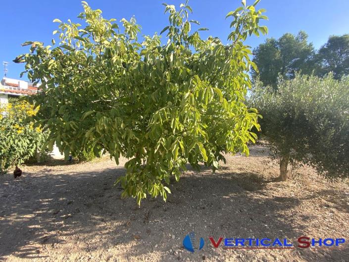 Image No.33-Chalet de 4 chambres à vendre à Caudete