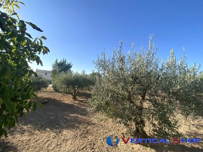 Image No.31-Chalet de 4 chambres à vendre à Caudete