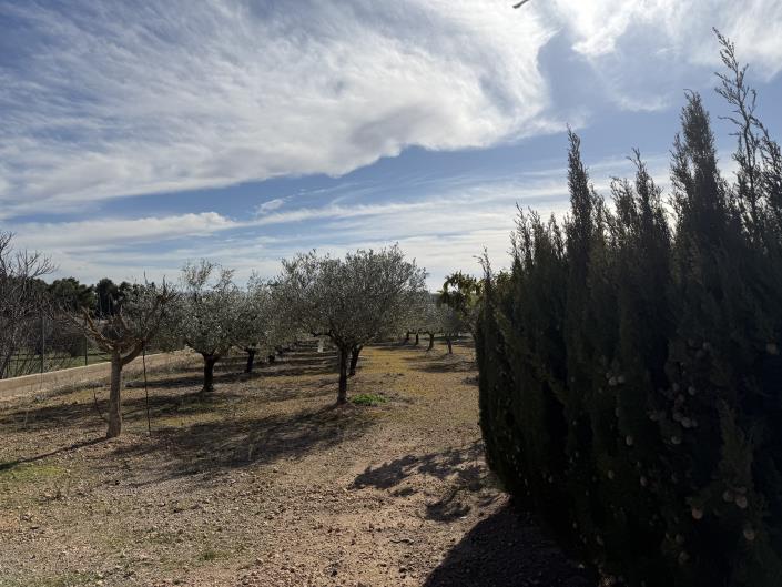 Image No.40-3 Bed Country Property for sale