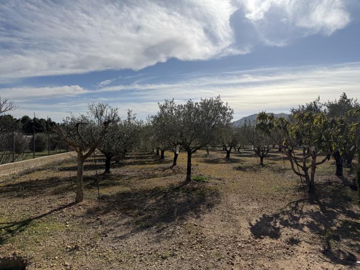 Image No.41-3 Bed Country Property for sale