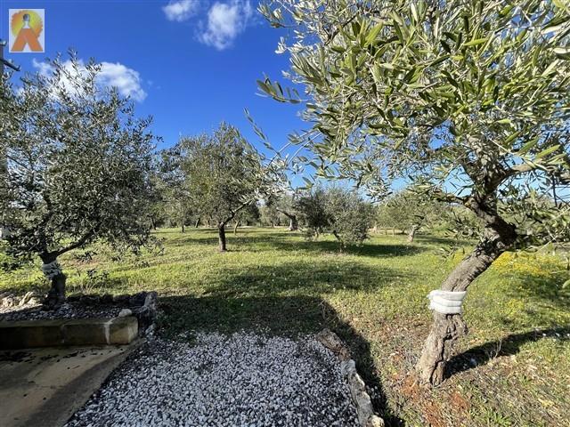 Image No.52-3 Bed Trullo for sale