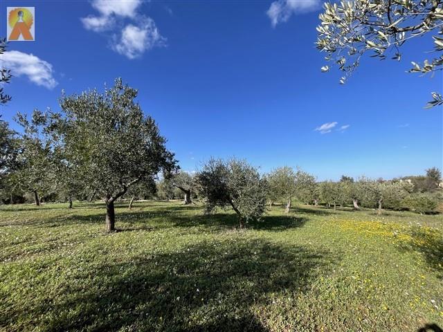 Image No.53-3 Bed Trullo for sale