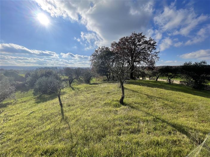 Image No.34-3 Bed Country House for sale