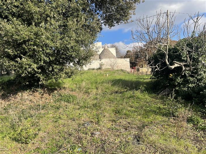 Image No.35-3 Bed Country House for sale