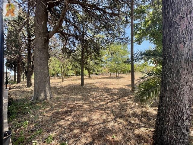 Image No.33-3 Bed Country Property for sale