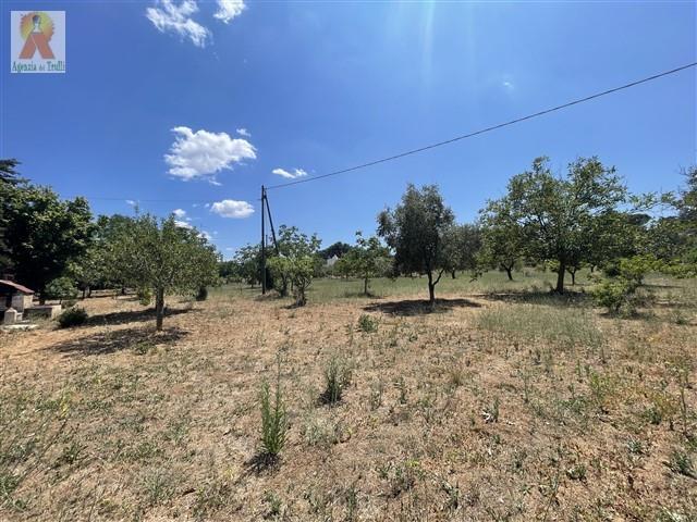 Image No.34-3 Bed Country Property for sale