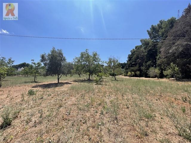 Image No.35-3 Bed Country Property for sale