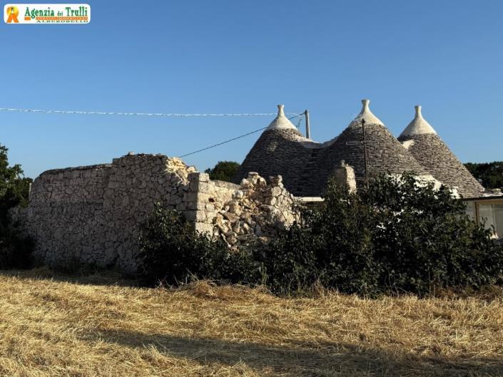 Image No.5-Trullo de 2 chambres à vendre à Noci