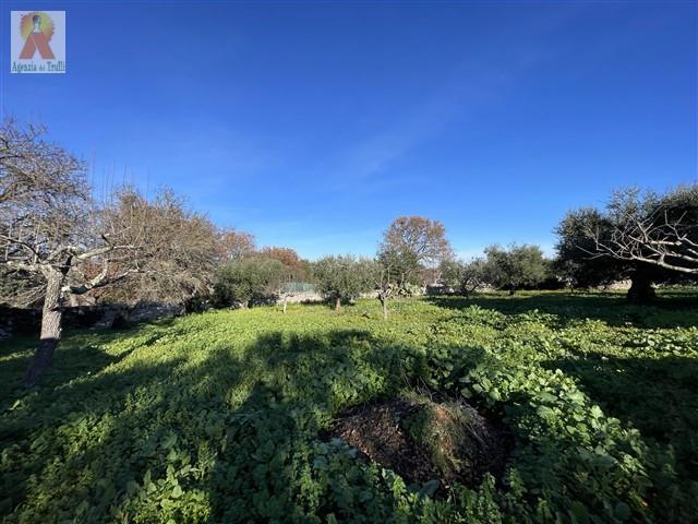 Image No.14-Trullo de 4 chambres à vendre à Martina Franca